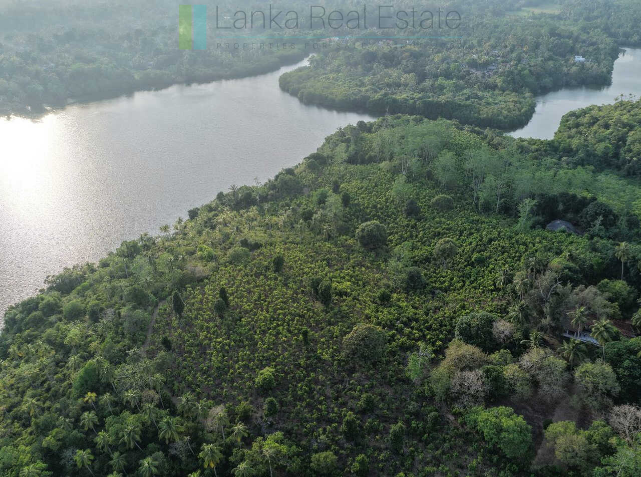 Fifty acre peninsular estate