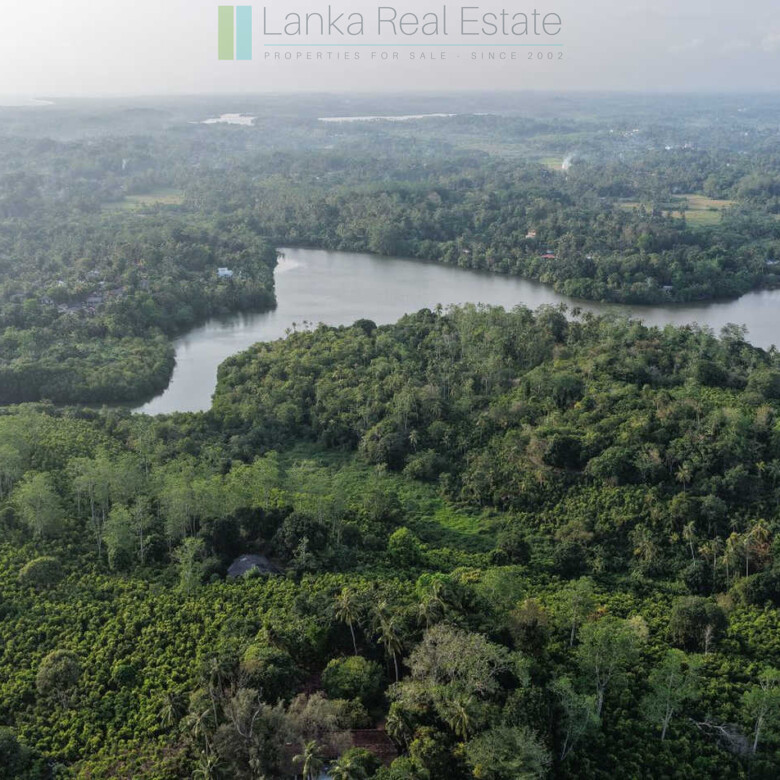 Fifty acre peninsular estate