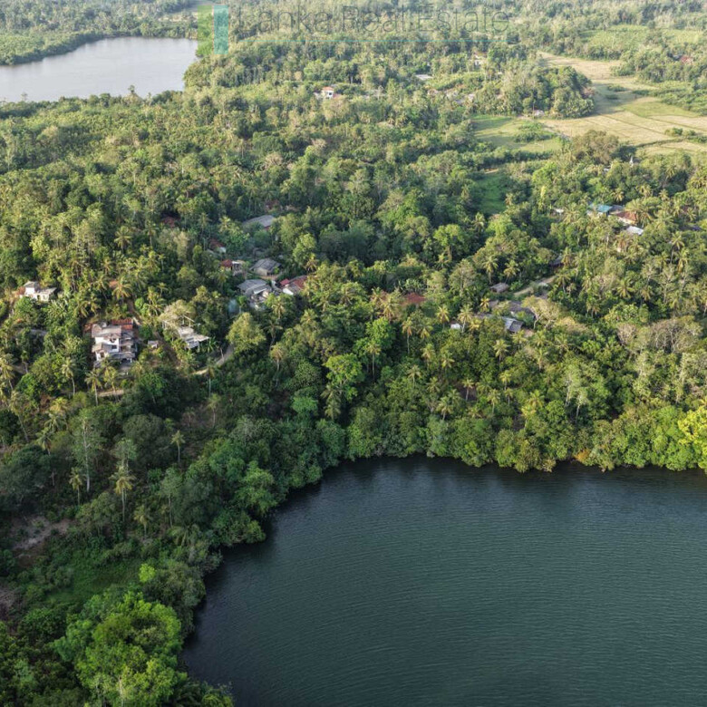 Fifty acre peninsular estate