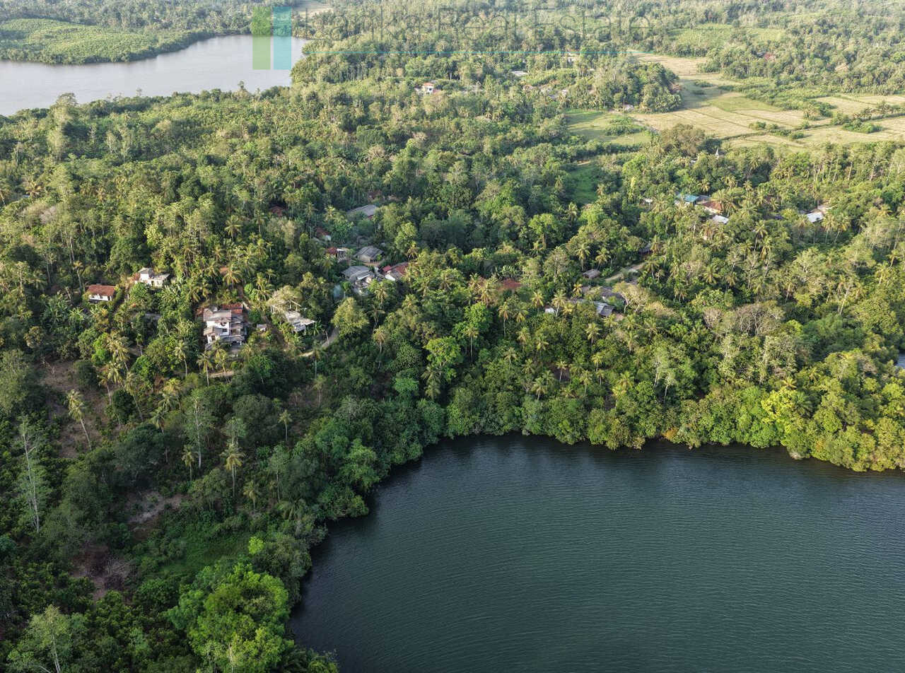 Fifty acre peninsular estate