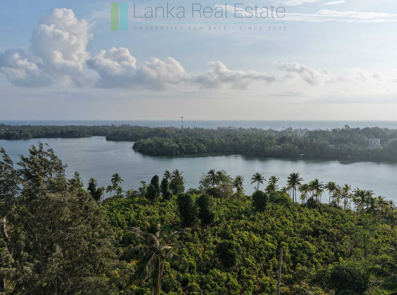 Fifty acre peninsular estate