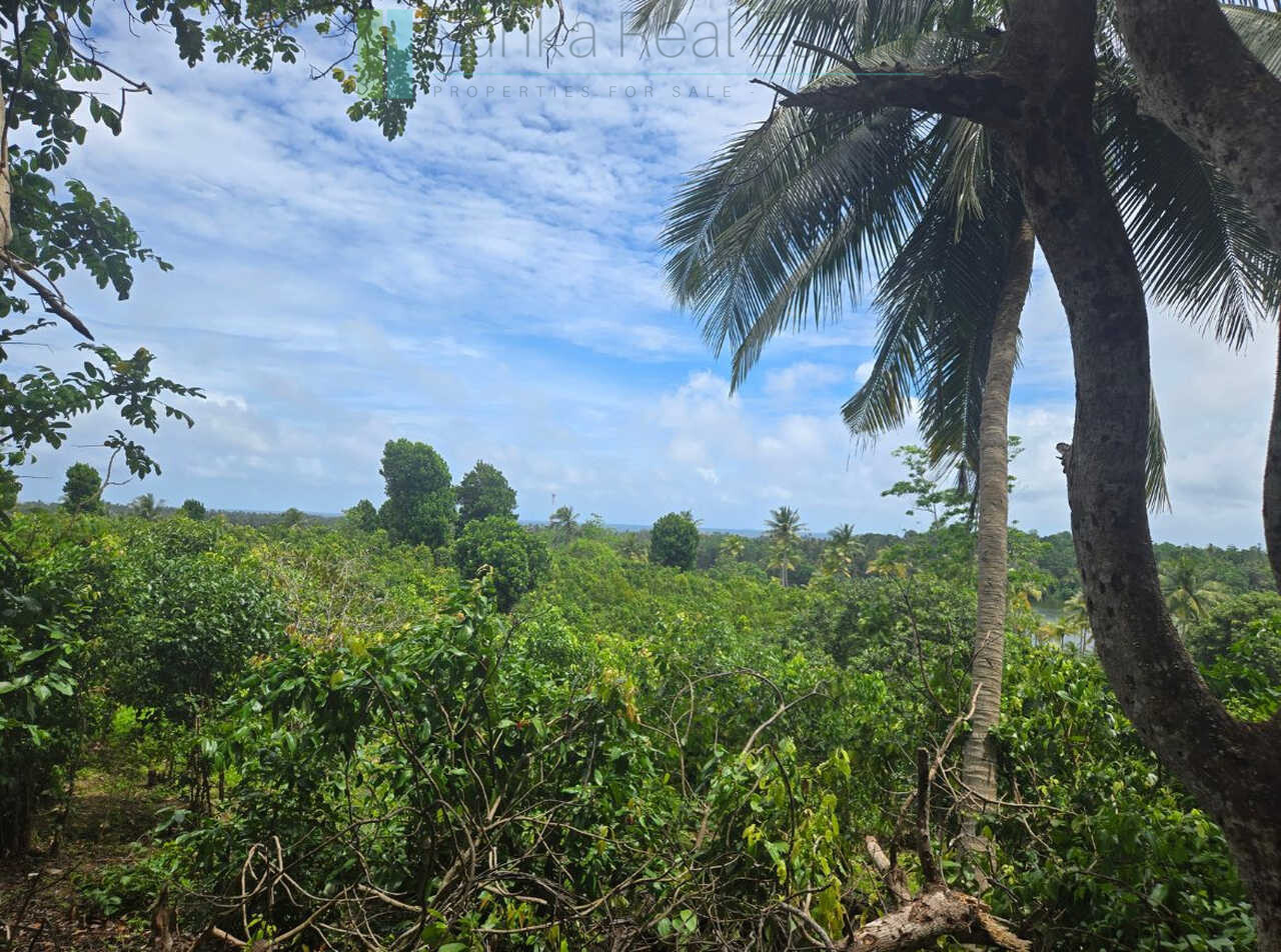 Fifty acre peninsular estate