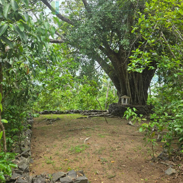 Fifty acre peninsular estate