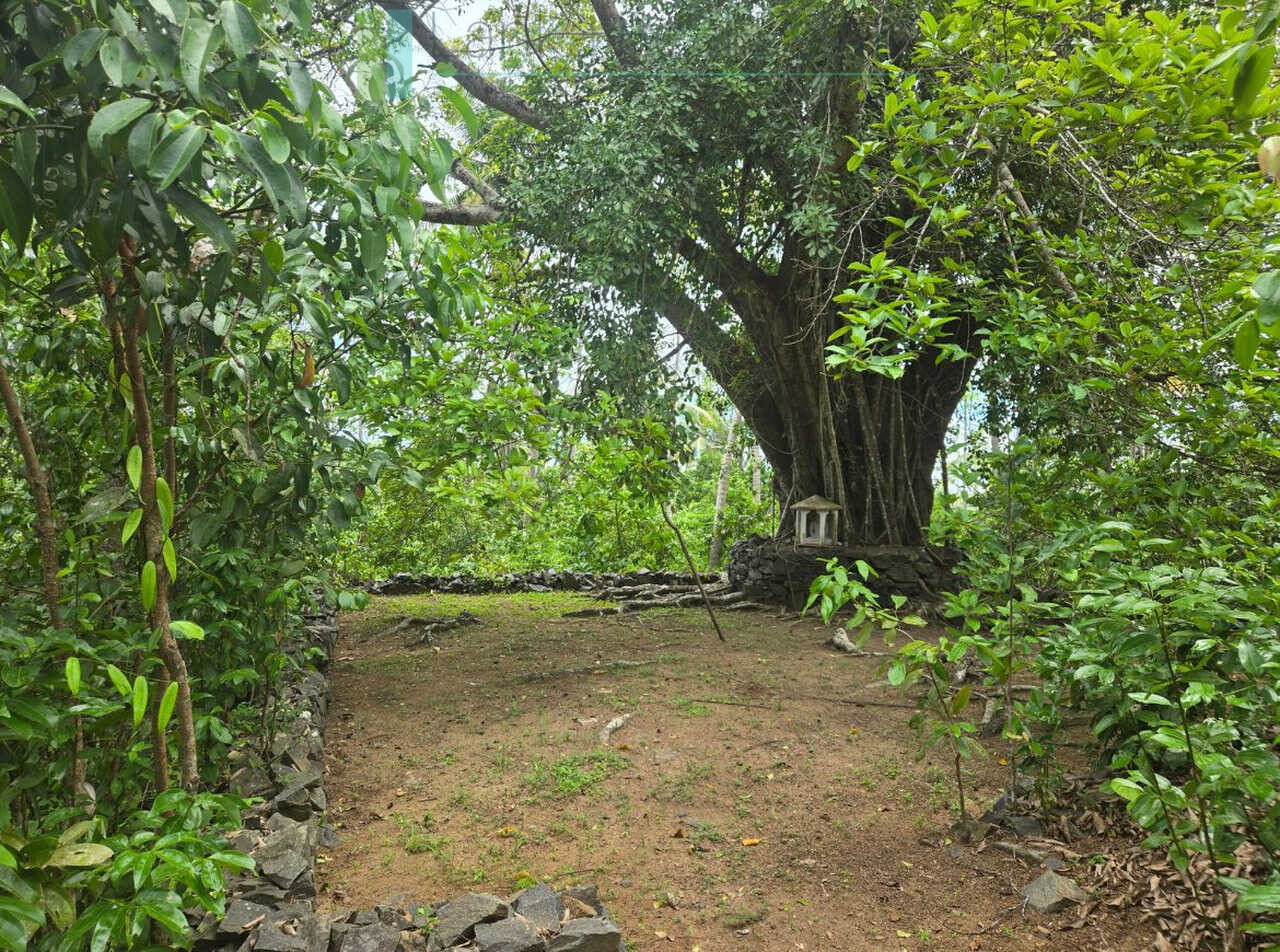 Fifty acre peninsular estate