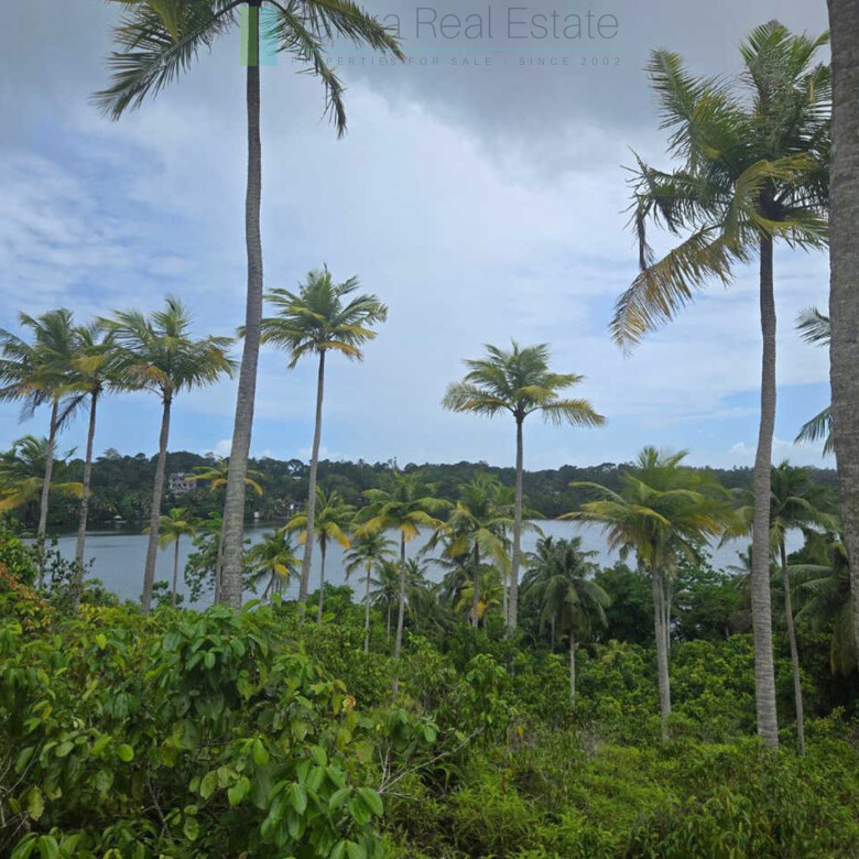 Fifty acre peninsular estate