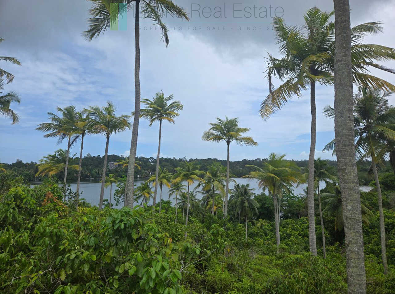 Fifty acre peninsular estate