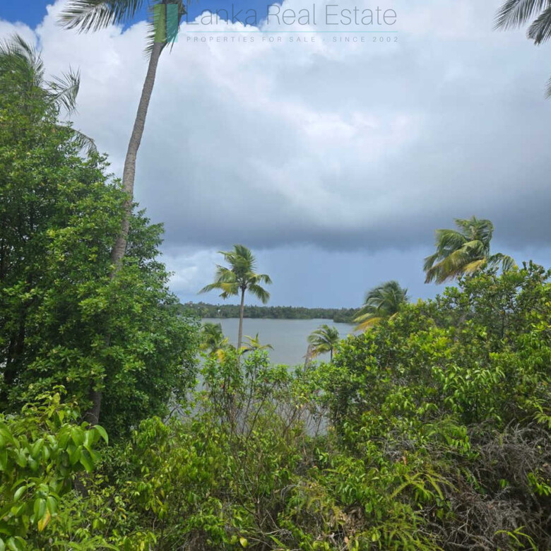 Fifty acre peninsular estate