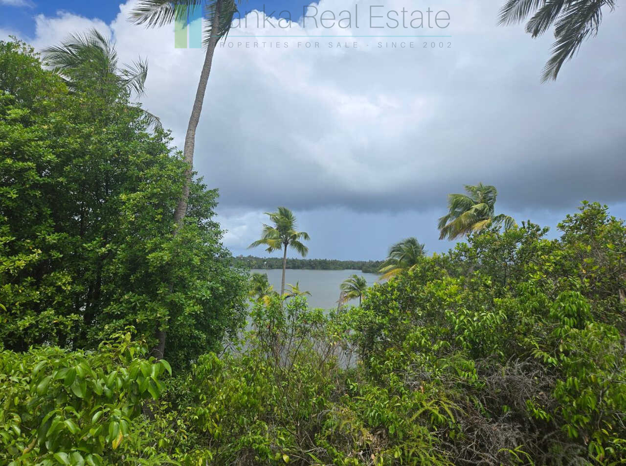 Fifty acre peninsular estate