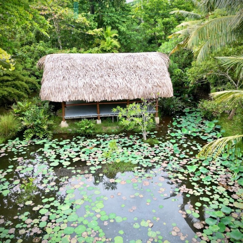 Boutique Eco Resort in Hikkaduwa