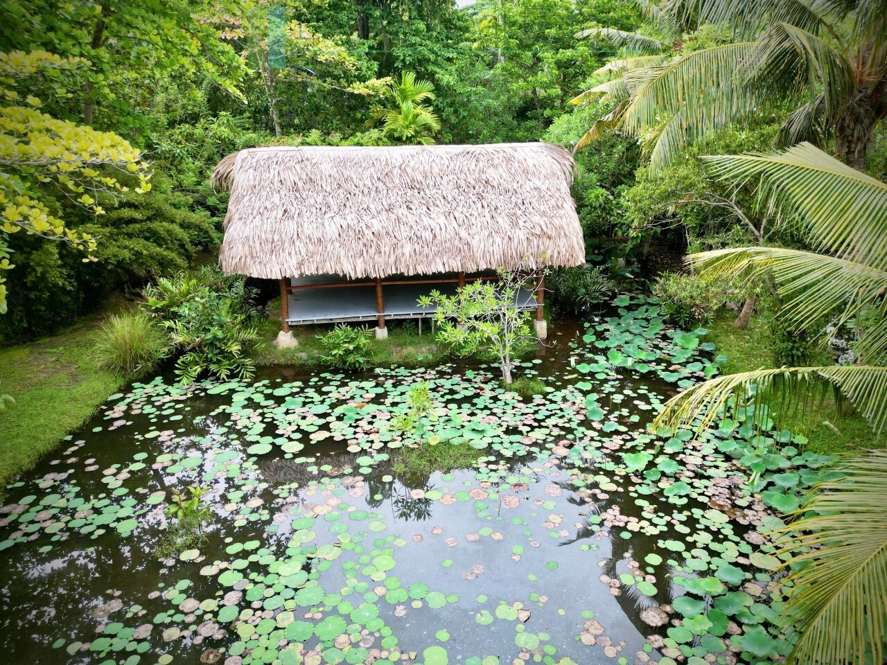 Boutique Eco Resort in Hikkaduwa