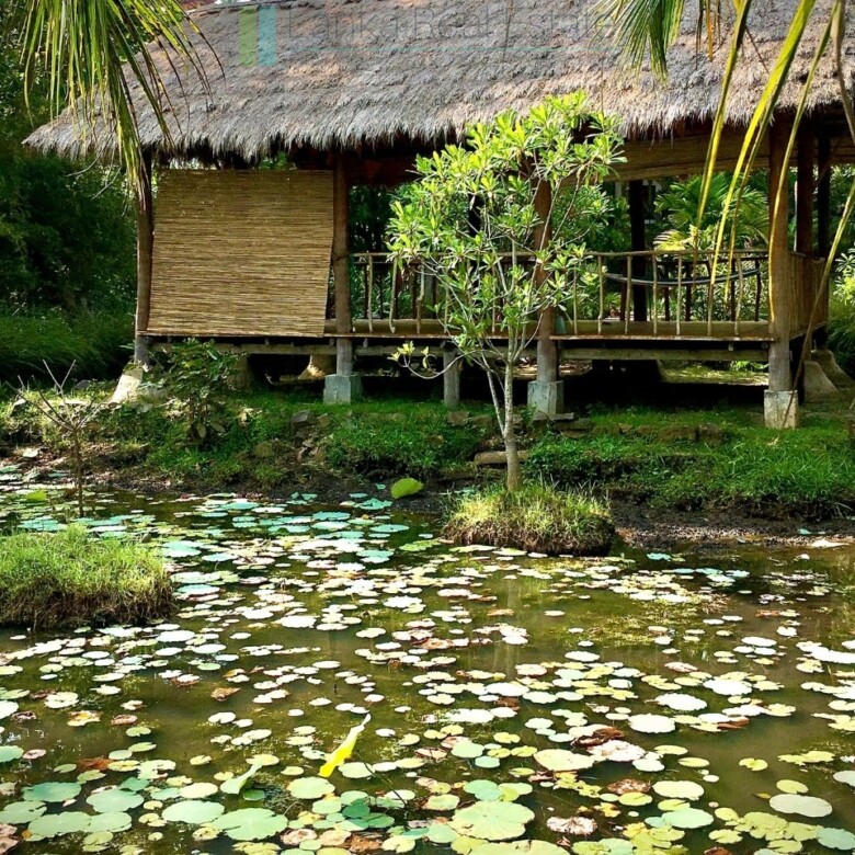 Boutique Eco Resort in Hikkaduwa