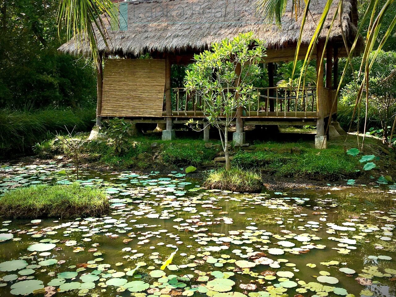 Boutique Eco Resort in Hikkaduwa
