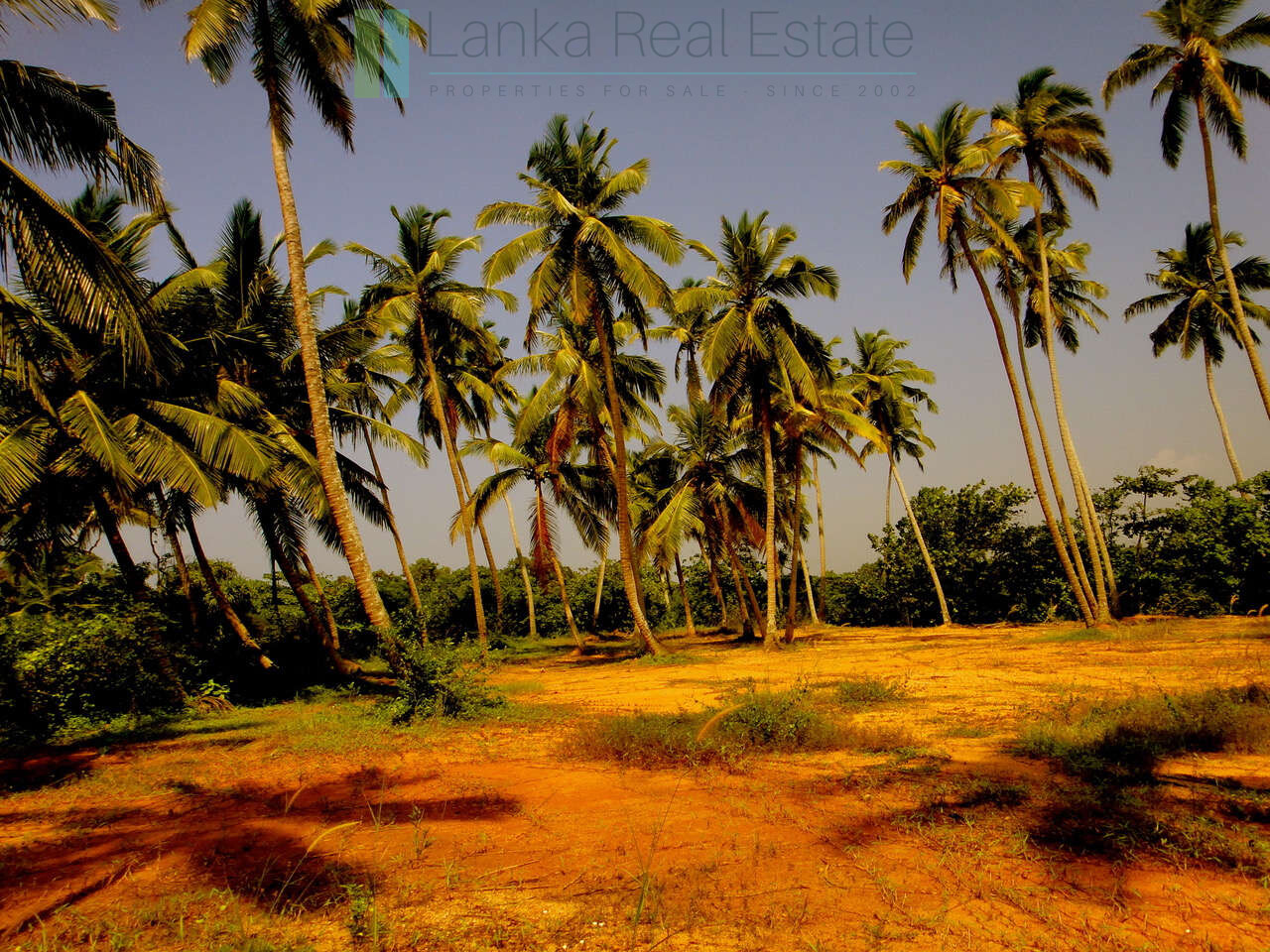 Waterside paradise near the beach