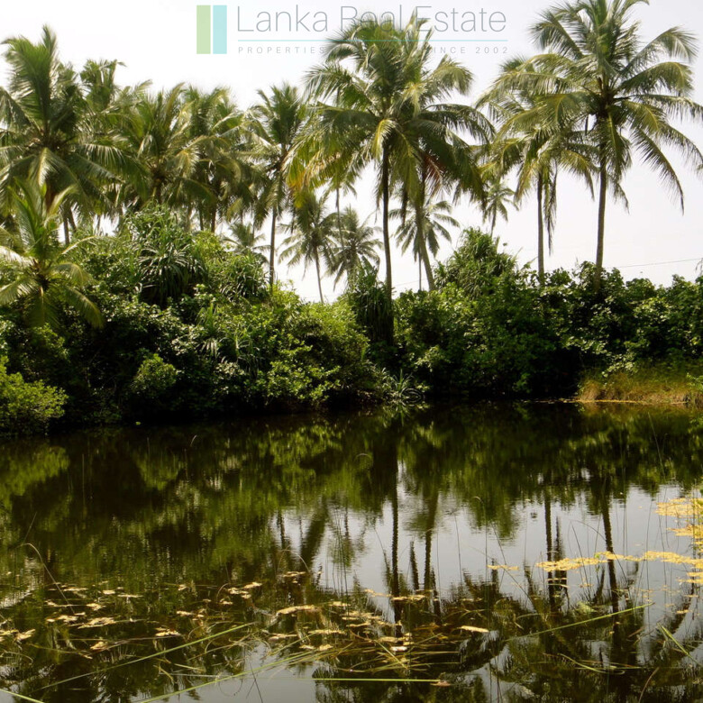 Waterside paradise near the beach