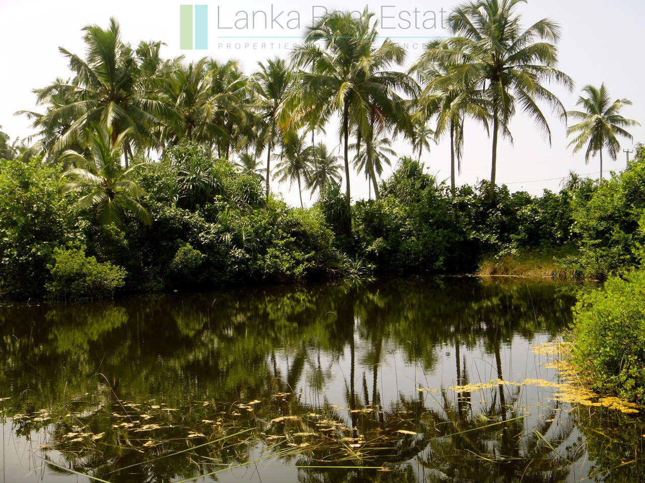 Waterside paradise near the beach