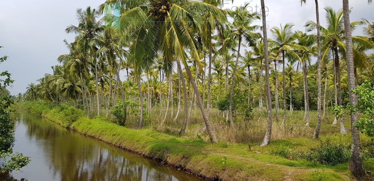 Tranquil eleven acres near Talpe