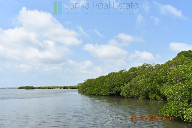 Forty acres on the lagoon near Kalpitiya