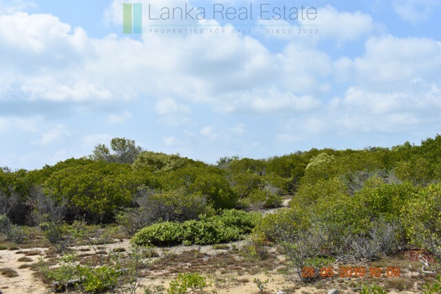 Forty acres on the lagoon near Kalpitiya