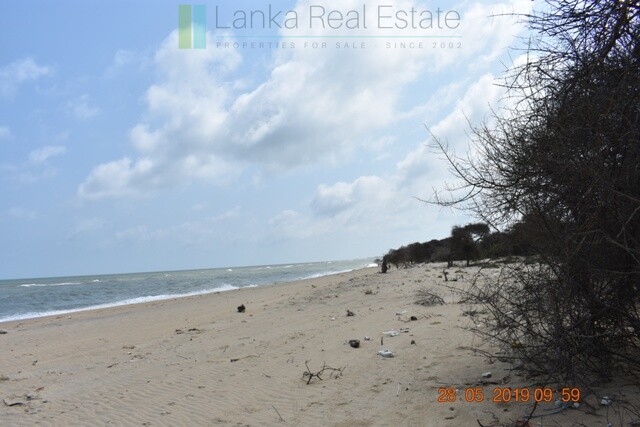 Forty acres on the lagoon near Kalpitiya