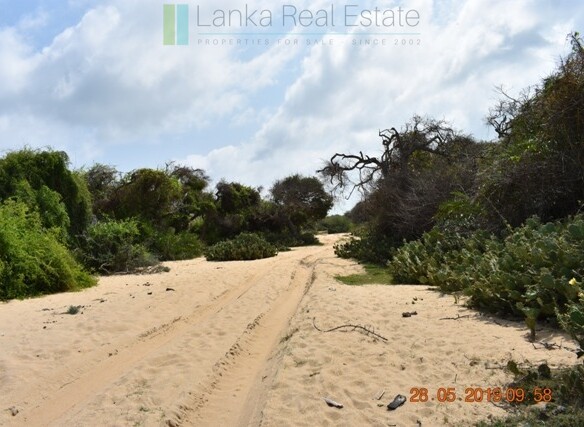 Forty acres on the lagoon near Kalpitiya