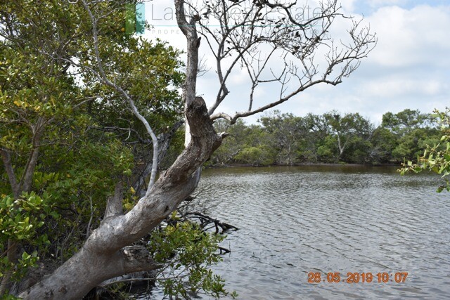 Forty acres on the lagoon near Kalpitiya