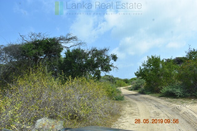 Forty acres on the lagoon near Kalpitiya