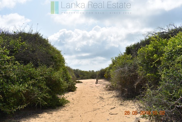 Forty acres on the lagoon near Kalpitiya