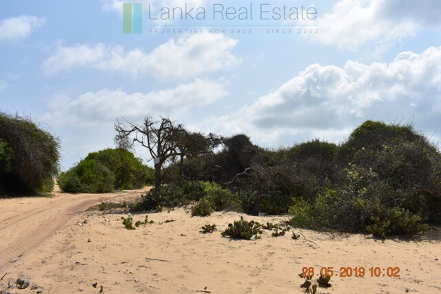 Forty acres on the lagoon near Kalpitiya