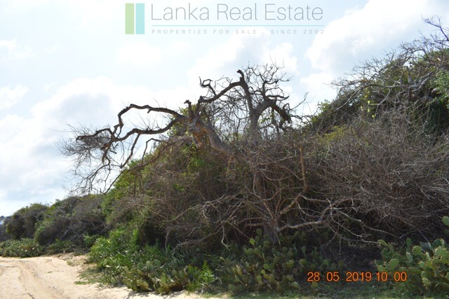 Forty acres on the lagoon near Kalpitiya