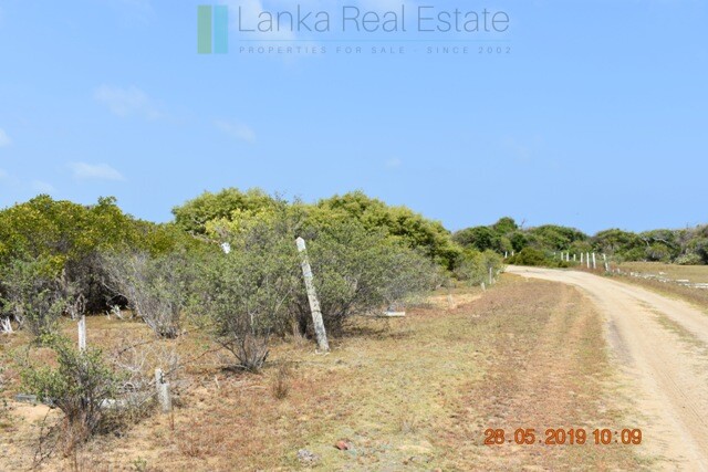 Forty acres on the lagoon near Kalpitiya