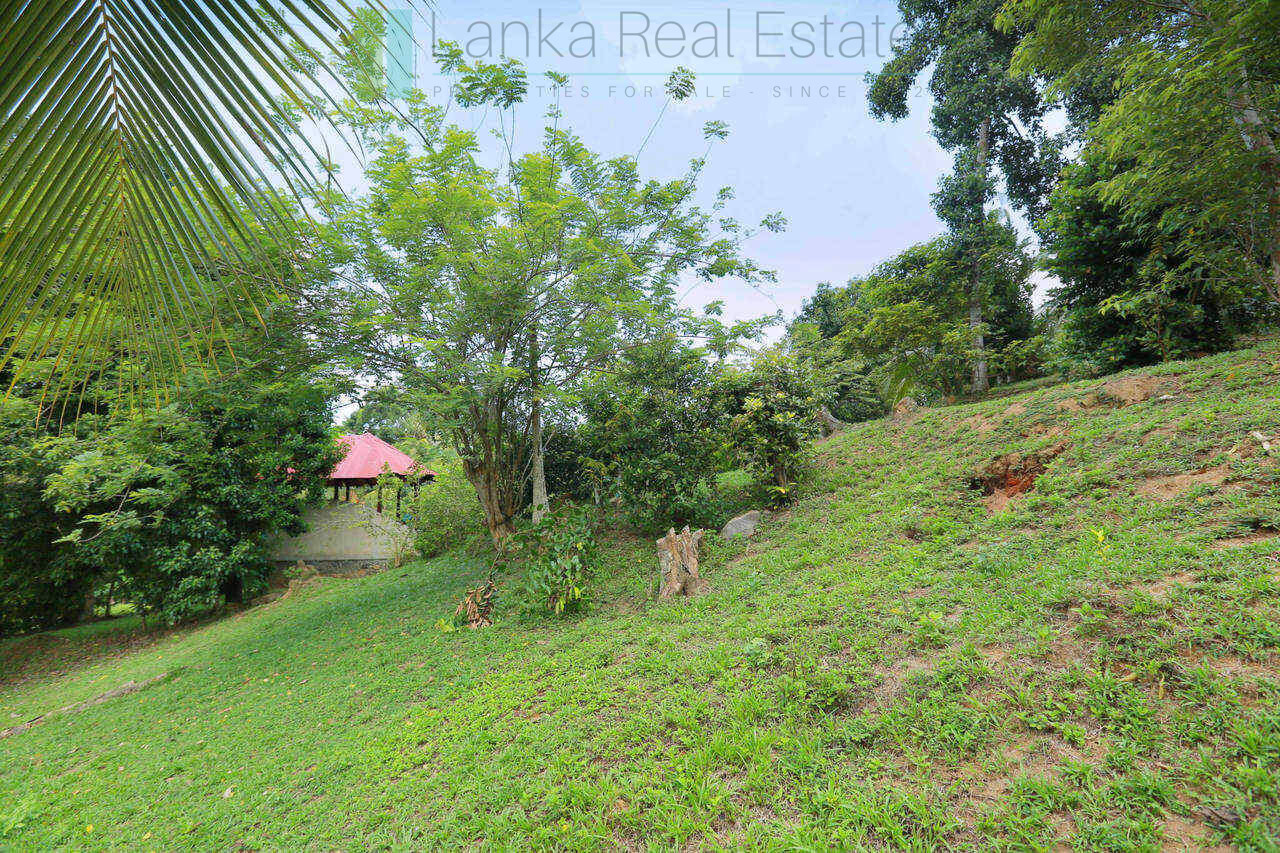Villa development site near Talpe