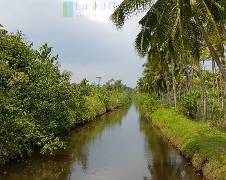 Tranquil eleven acres near Talpe