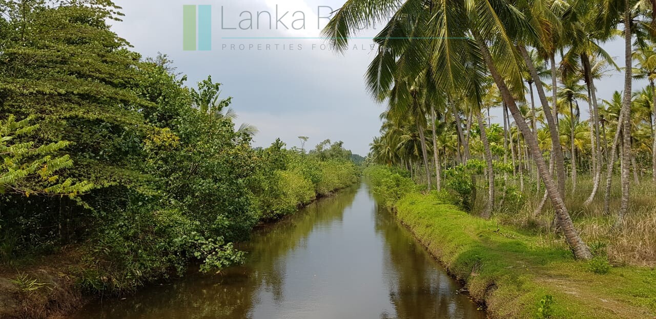 Tranquil eleven acres near Talpe