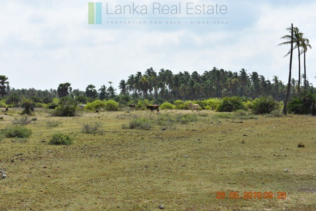 70 acres on Dutch Bay near Kalpitiya