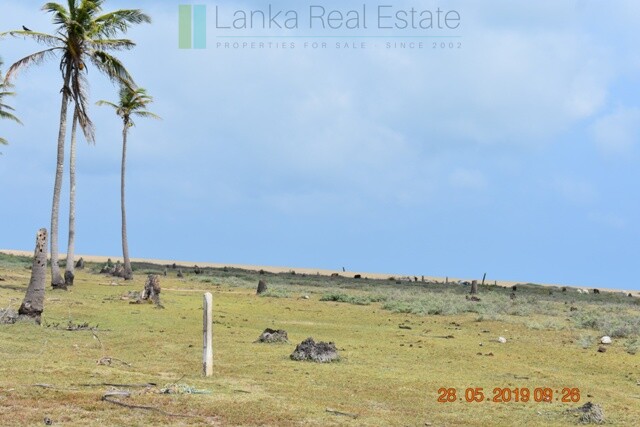 70 acres on Dutch Bay near Kalpitiya