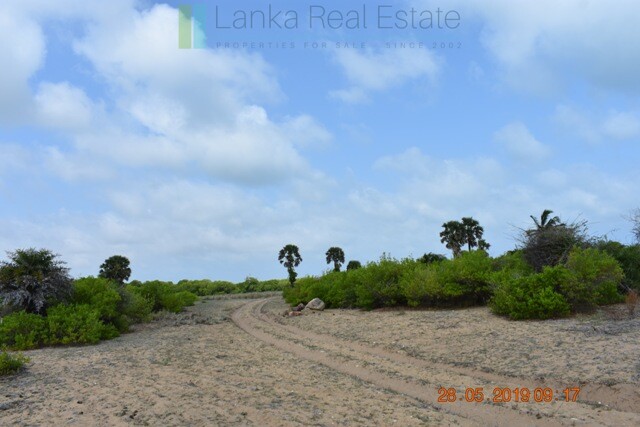 70 acres on Dutch Bay near Kalpitiya
