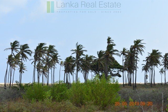 70 acres on Dutch Bay near Kalpitiya