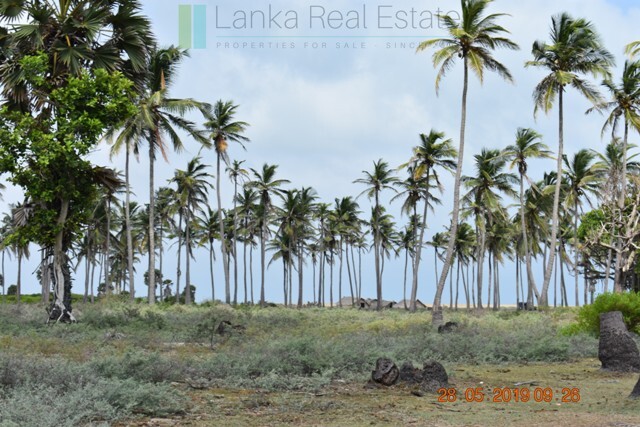 70 acres on Dutch Bay near Kalpitiya