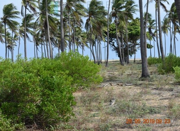 70 acres on Dutch Bay near Kalpitiya