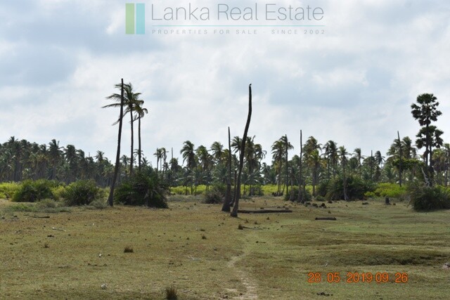 70 acres on Dutch Bay near Kalpitiya