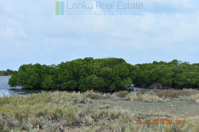 70 acres on Dutch Bay near Kalpitiya