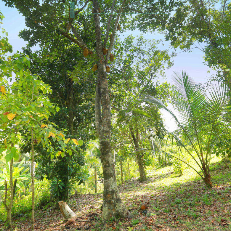 Villa development site near Talpe