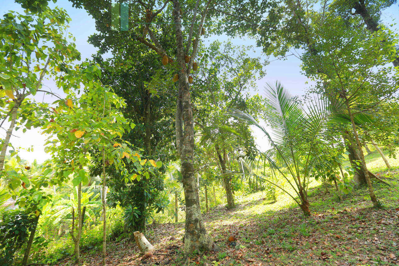 Villa development site near Talpe