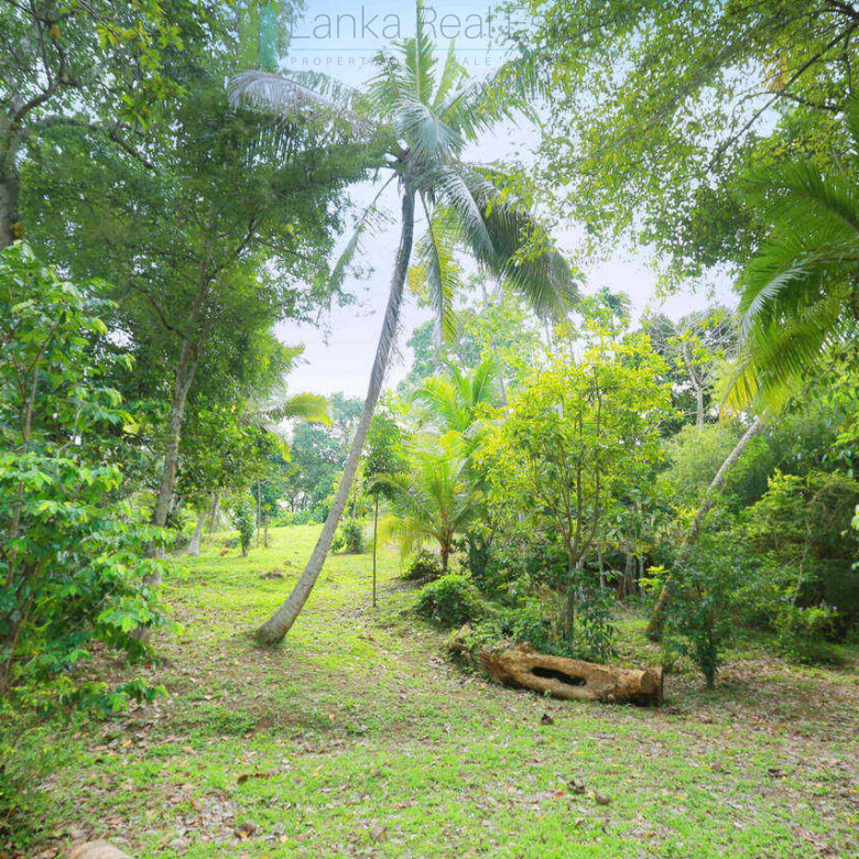 Villa development site near Talpe