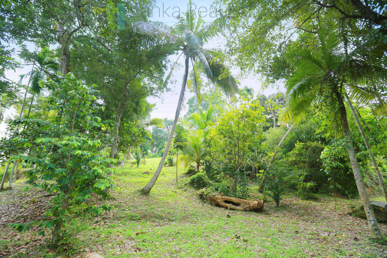 Villa development site near Talpe