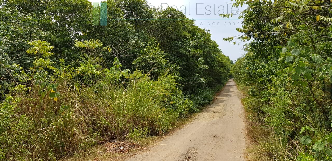 Tranquil eleven acres near Talpe