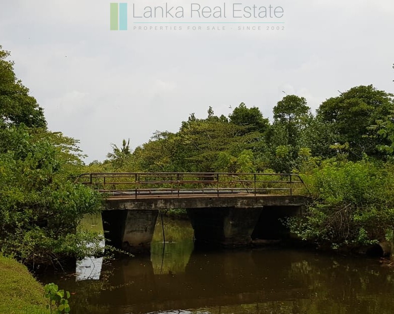 Tranquil eleven acres near Talpe