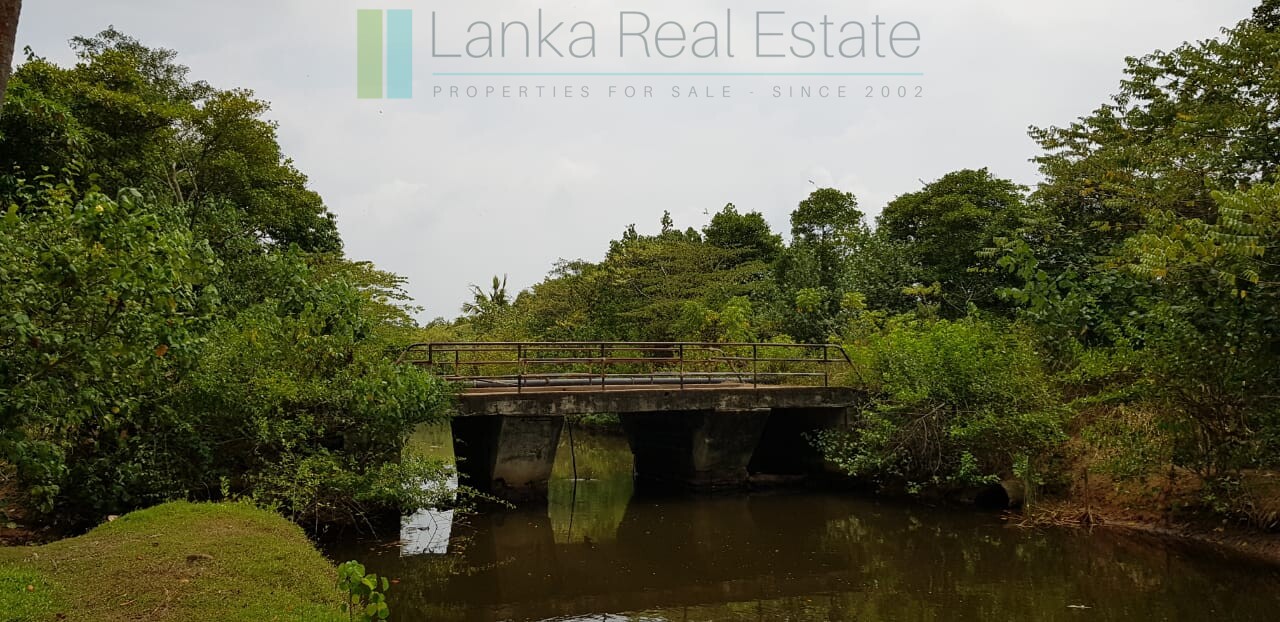 Tranquil eleven acres near Talpe