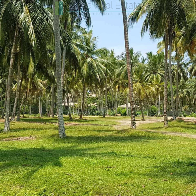 Attractive four acre development plot near Ahangama