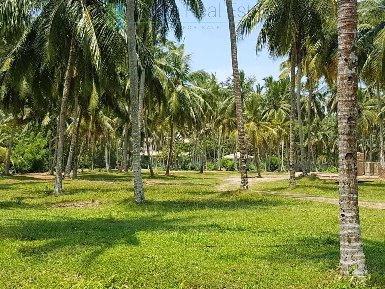Attractive four acre development plot near Ahangama
